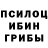 Галлюциногенные грибы прущие грибы Barbari Ska