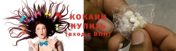 соль ск Горно-Алтайск
