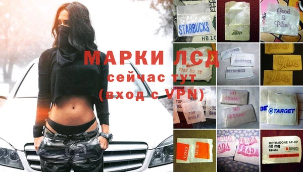 СК Гусев