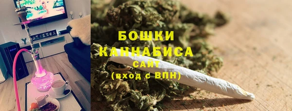 соль ск Горно-Алтайск