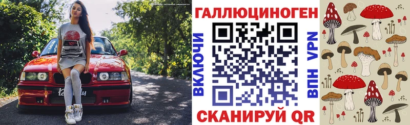 купить   Дзержинский  Псилоцибиновые грибы GOLDEN TEACHER 